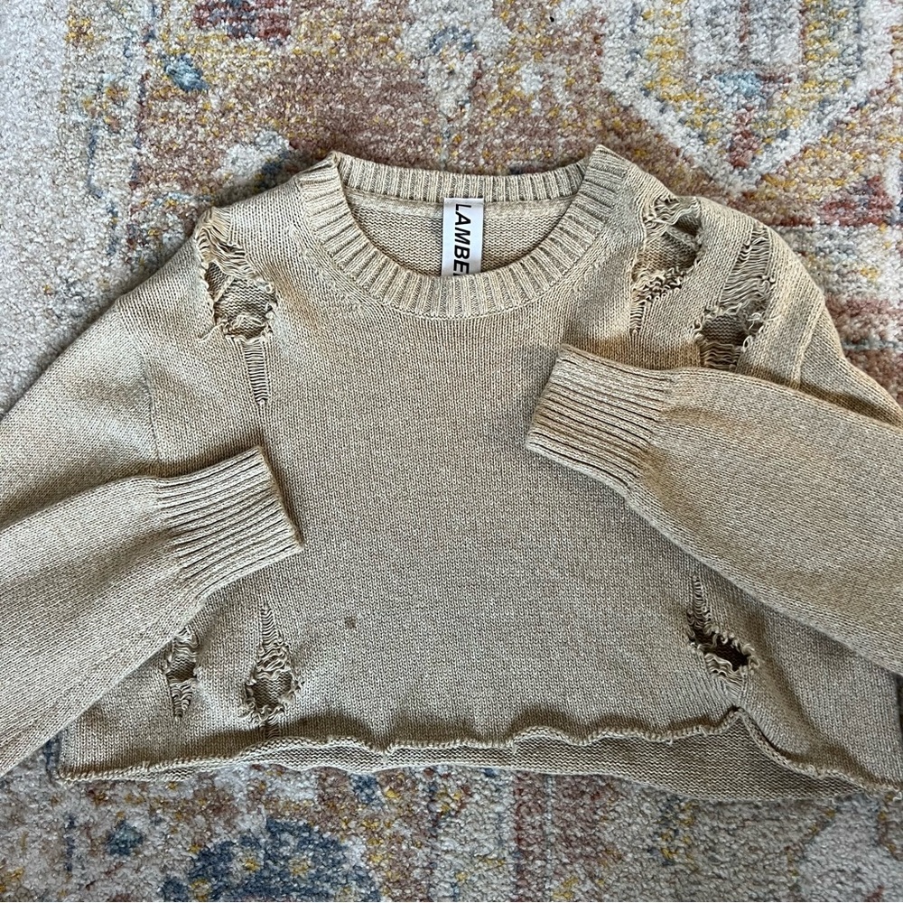 TYLER LAMBERT distressed sweater
